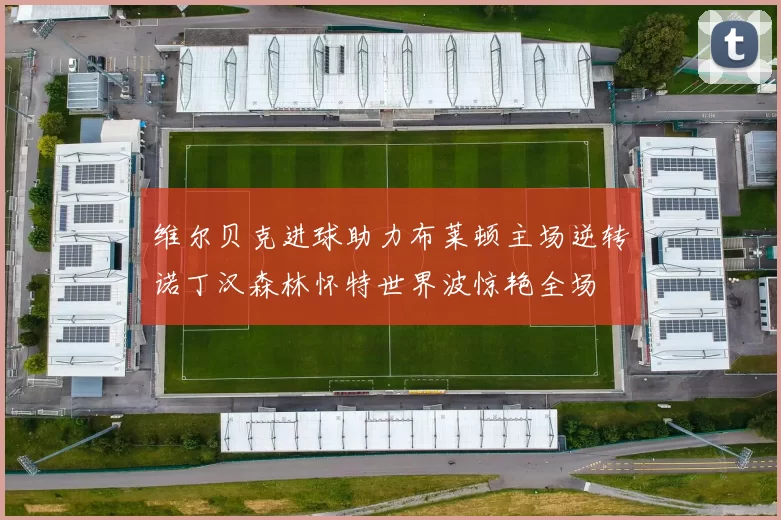 维尔贝克进球助力布莱顿主场逆转诺丁汉森林怀特世界波惊艳全场