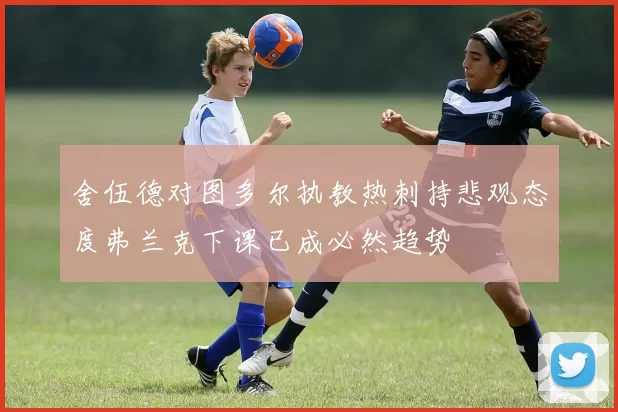舍伍德对图多尔执教热刺持悲观态度弗兰克下课已成必然趋势