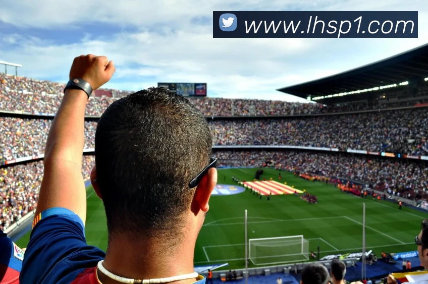 雷火体育APP 封面图